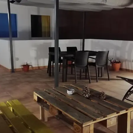 Sheep * ラスパルマス・デ・グランカナリア