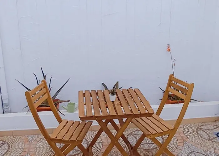 Sheep Λας Πάλμας ντε Γκραν Κανάρια